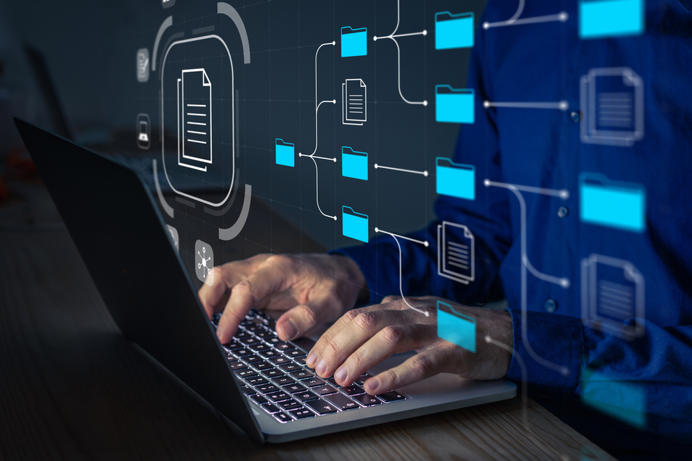 Document,Management,System,(dms),Being,Setup,By,It,Consultant,Working