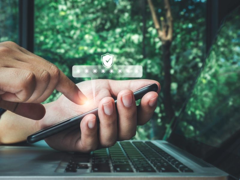 Internet-Führer besorgt über Vorschlag zur Web-Authentifizierung