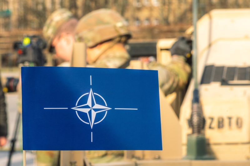 Schwedische Linkspartei fordert NATO-Referendum