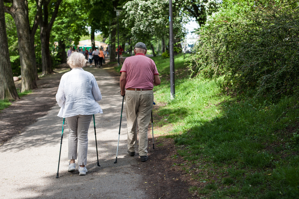 Powerful,Happy,Elderly,People,Are,Walking,With,Hiking,Sticks,,Canes,