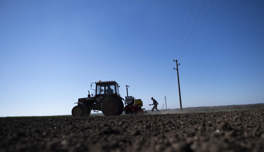 Sowing sunflower seeds in Bulgaria