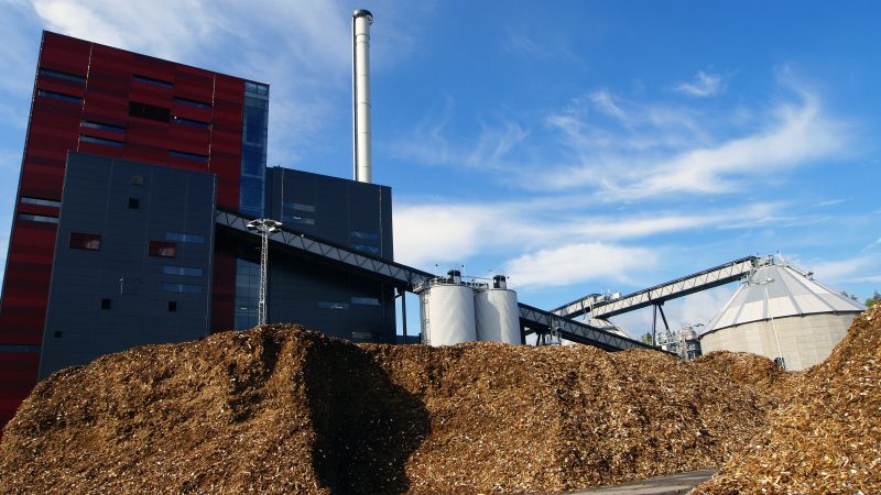 Umweltverbände erringen historischen Sieg bei Biomassevorschriften