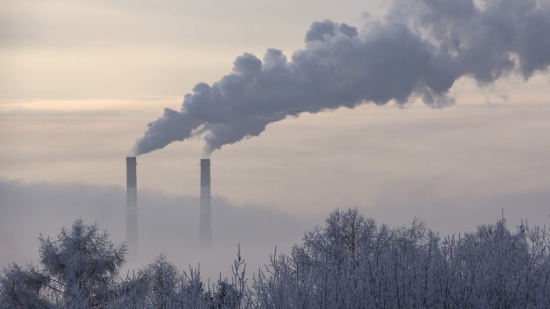 Experten bemängeln Transparenz im "politisch gesteuerten" EU-CO2-Markt