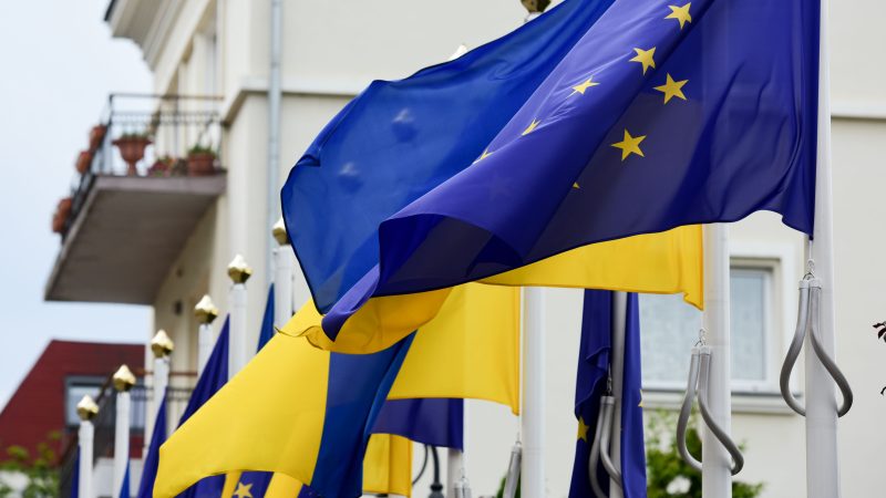 Ehemaliger Wirtschaftsminister: Ukraine braucht Zuschüsse, keine Kredite