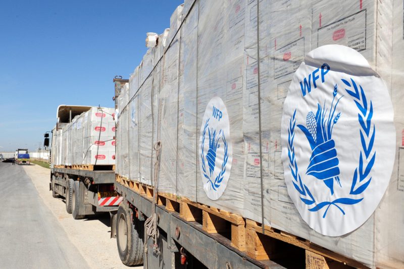 Jemens Weizenindustrie warnt vor Massenhungersnot