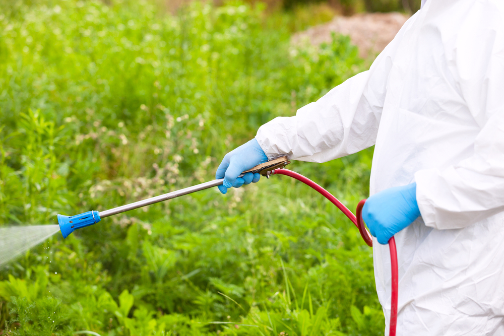 Pest,Control,Worker,Spraying,Insecticides,Or,Pesticides,Outdoors.,Ragweed,Hay