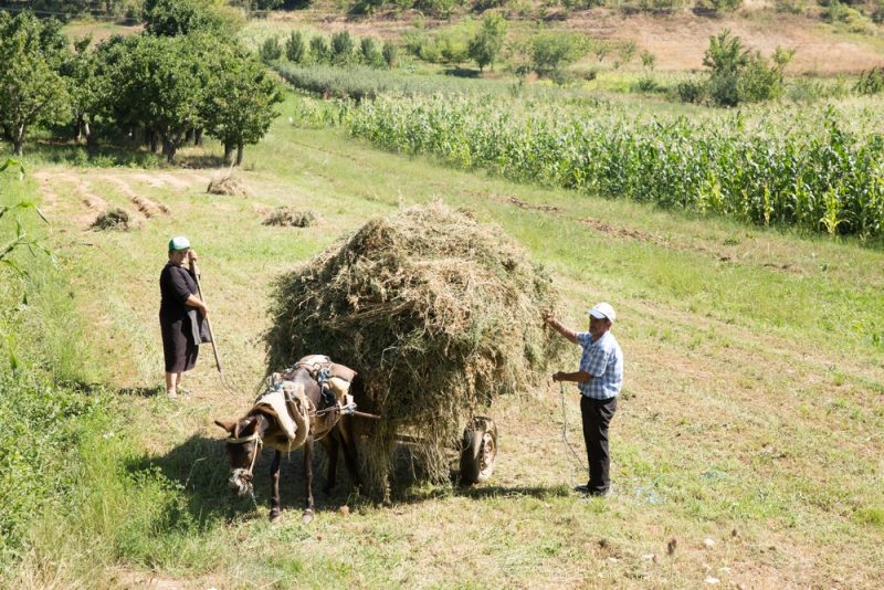 Starker Anstieg der Inflation in Albanien trifft Bevölkerung und Unternehmen hart