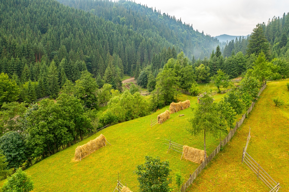 Authentic,Rural,Landscape,In,Romania,,In,Maramures,And,Bucovina,Area.