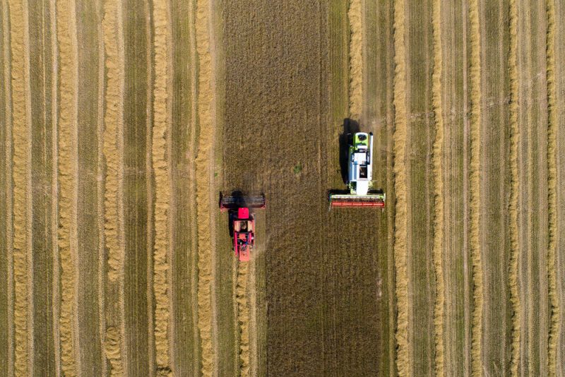 OECD: EU-Agrarsubventionen nicht ausreichend auf Nachhaltigkeit ausgelegt