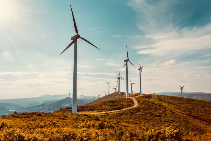 Portugiesischer Energieversorger will 1,5 Milliarden in Offshore-Windparks investieren
