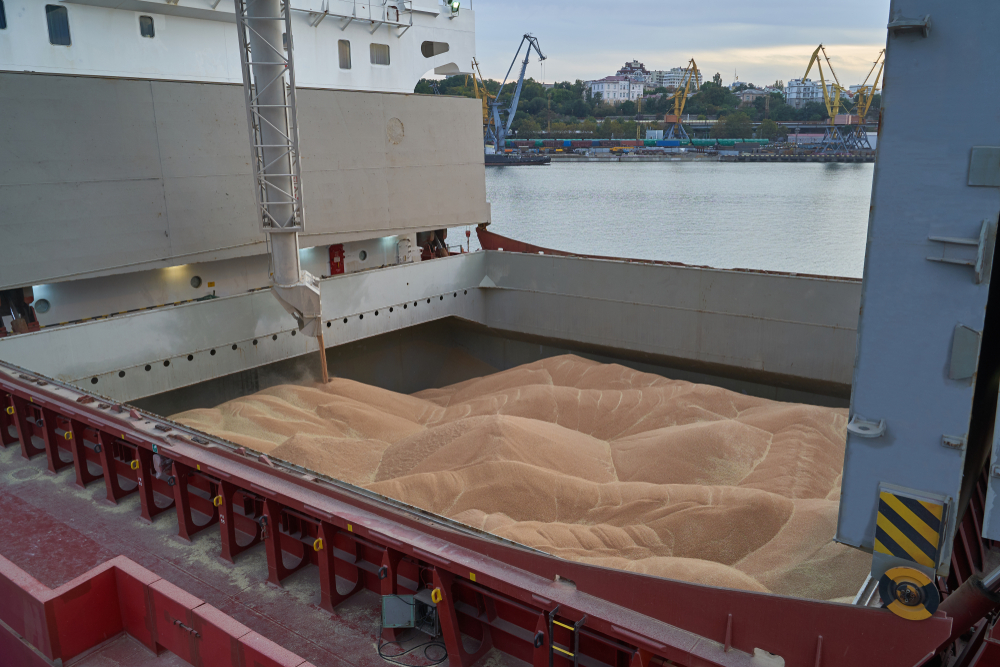 Grain,Loading,In,Hold,Of,Bulk,Carrier,Ship,With,Elevator