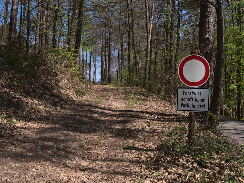 EU-Kommission begrüßt Deutschlands Pläne für nachhaltige Wälder