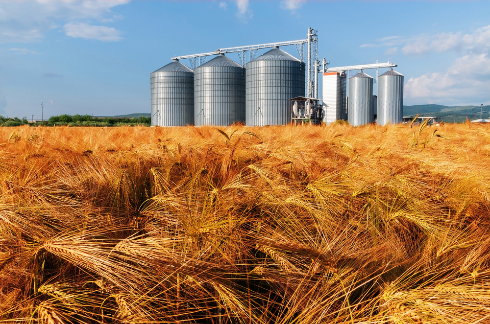 Silos,In,A,Barley,Field.,Storage,Of,Agricultural,Production.