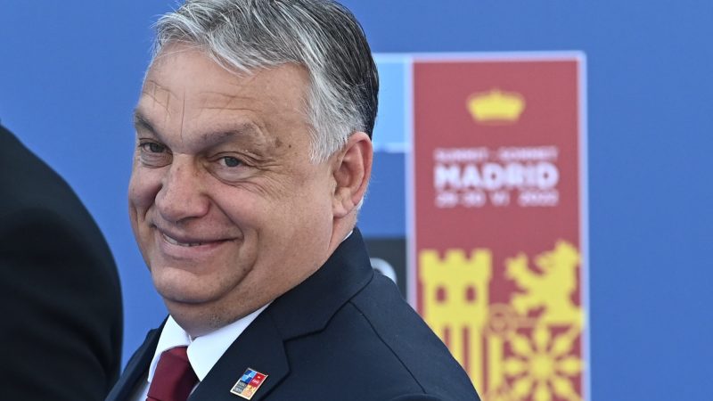 Ungarns Reformbemühungen sind Täuschmanöver für EU-Gelder, warnen Experten