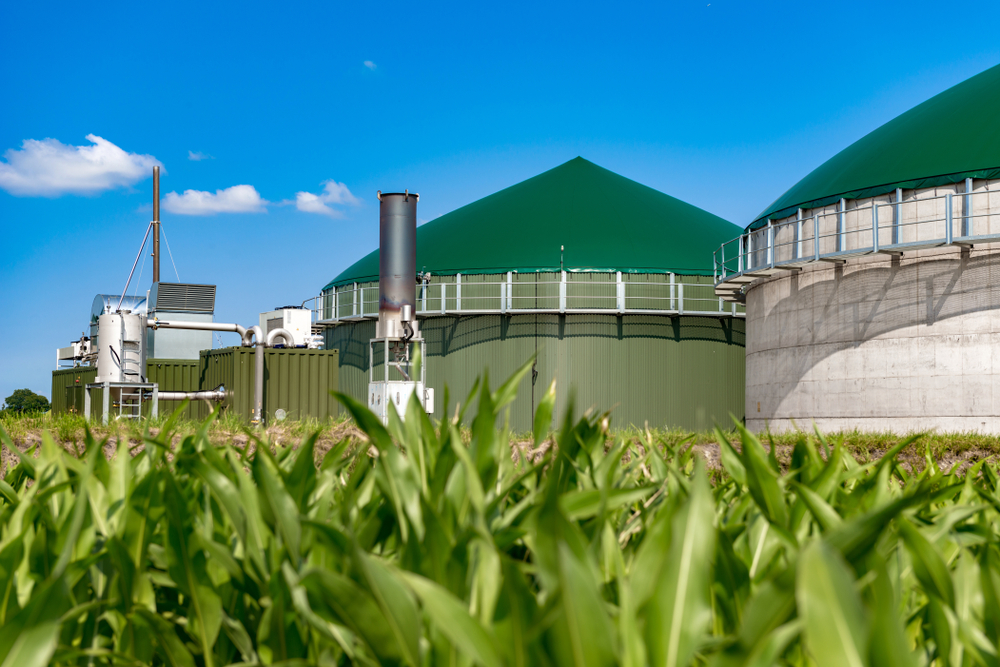 Biogas,Plant,Behind,Maize,Field