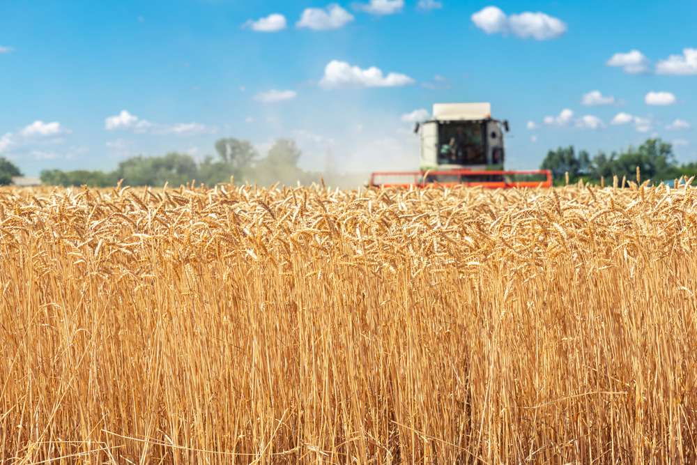 Scenic,Front,View,Big,Powerful,Industrial,Combine,Harvester,Machine,Reaping