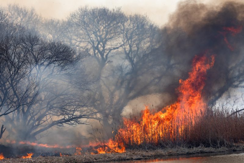 Hitzewelle verursacht Schäden in Spanien