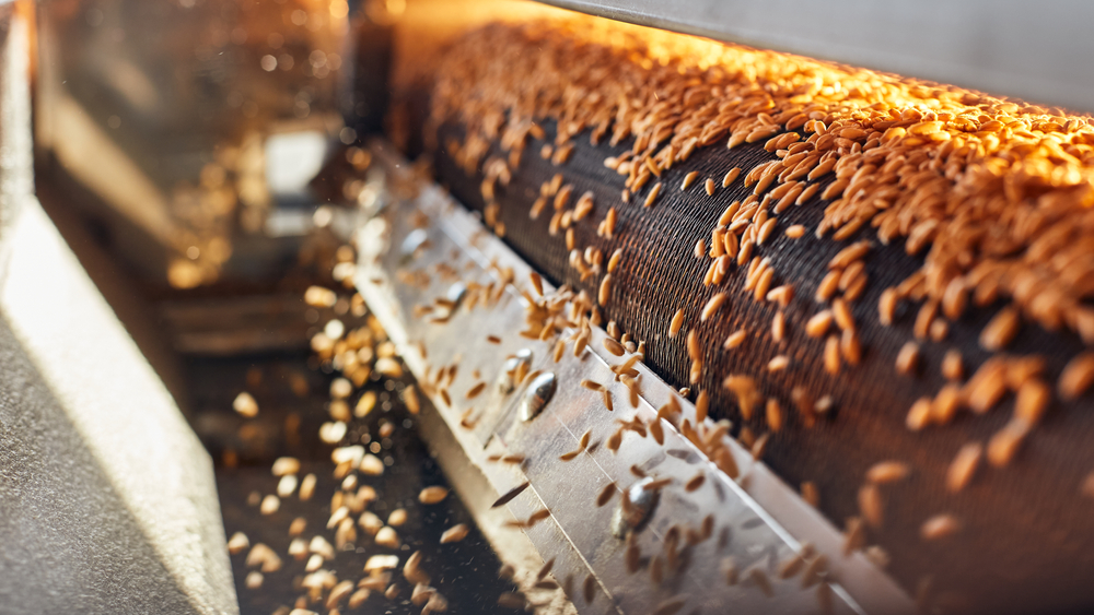 Process,Of,Machine,Drying,And,Antibacterial,Treatment,Of,Freshly,Picked