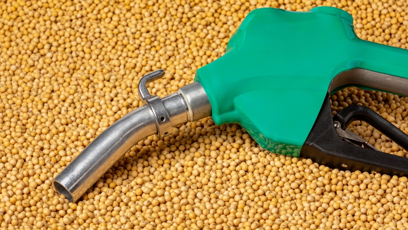 EU-Abgeordnete stimmen gegen Soja-Biodiesel