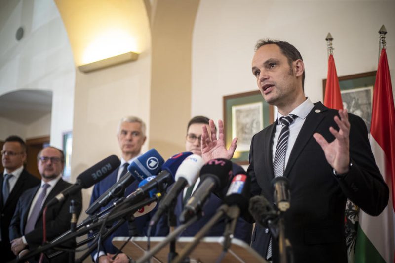 Slowenischer Ex-Außenminister kündigt Präsidentschaftskandidatur an