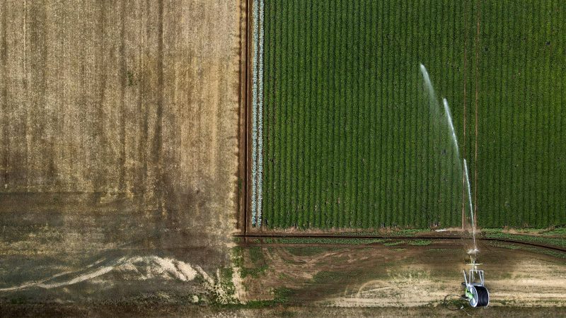 Europas schwere Dürre verschlimmert sich
