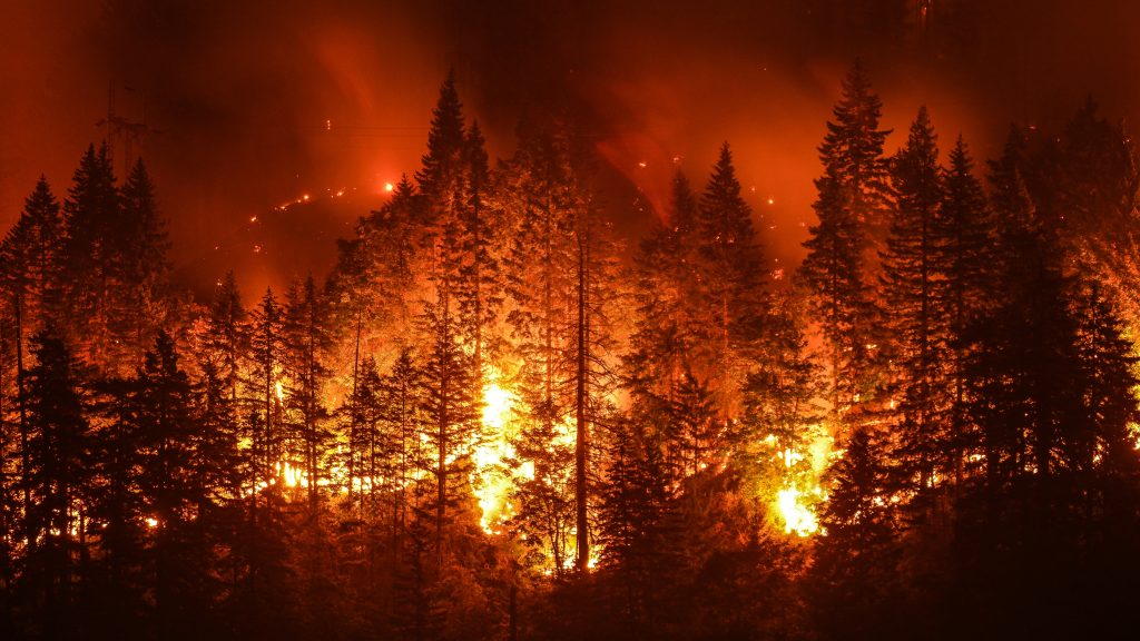 fire