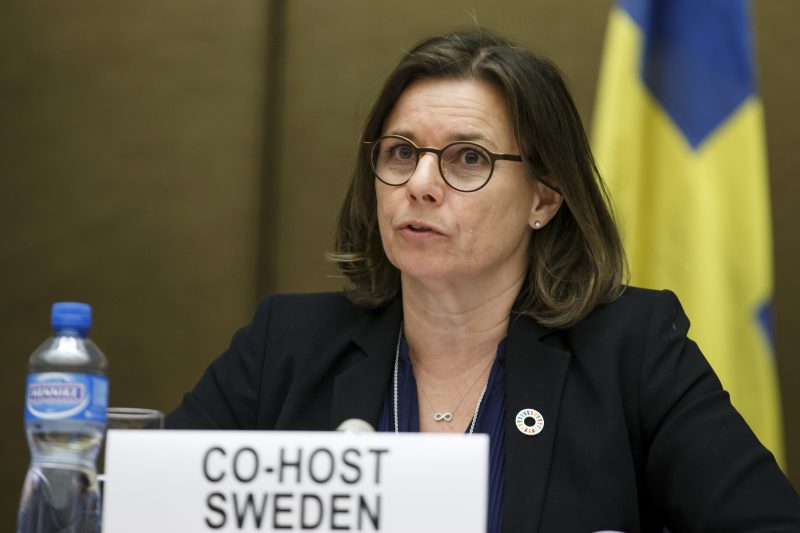 Schwedens frühere Vizepremier: EU muss handeln, um Leben im Meer zu retten