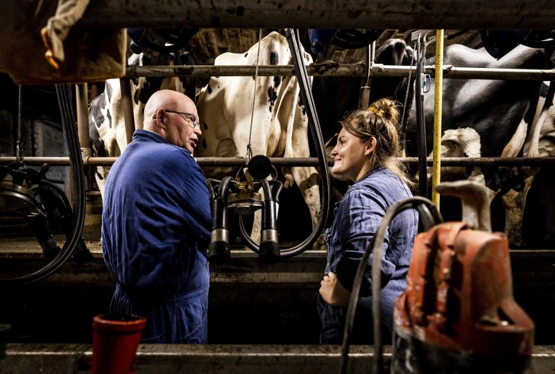 Junglandwirte und Neueinsteiger in Spanien erhalten knapp 14 Millionen Euro an GAP-Geldern