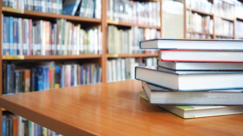 Umstrittenes Lehrbuch kommt an polnische Schulen