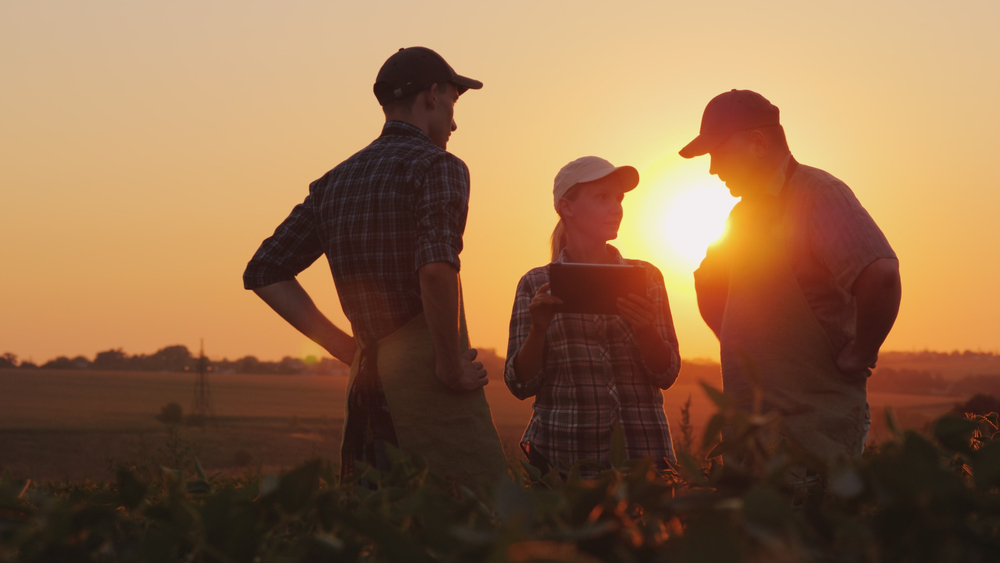 A,Group,Of,Farmers,Are,Discussing,In,The,Field,,Using