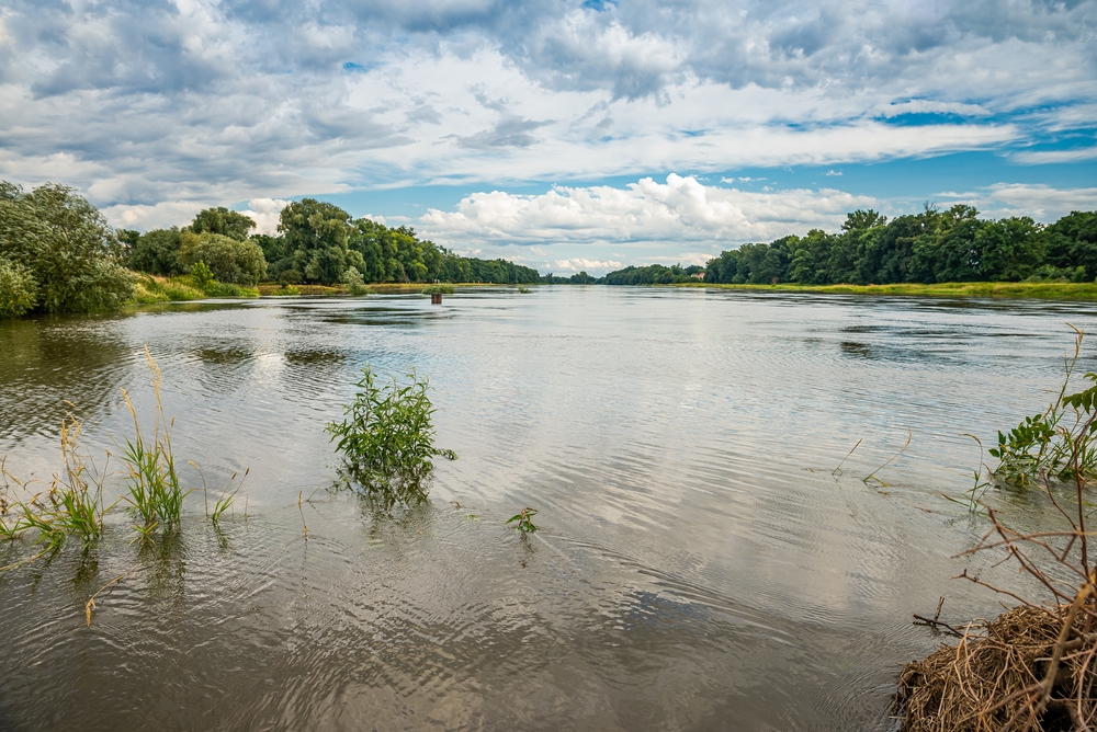 Panoramic,View,On,River,Oder,In,Poland,By,Village,Ciechanow