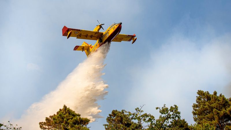 EU entsendet Löschflugzeuge zur Bekämpfung der Waldbrände in Portugal