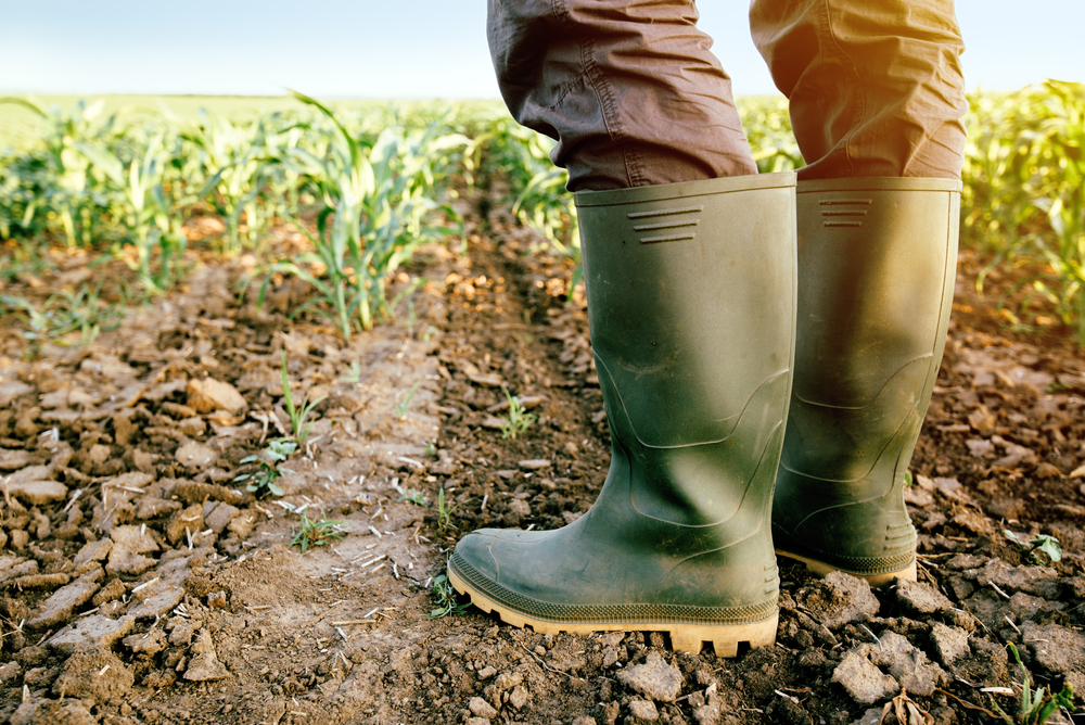 Farmer,In,Rubber,Boots,Standing,In,The,Field,Of,Cultivated