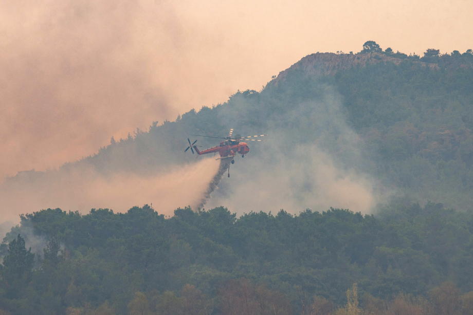 Wildfire in Dadia National Park in Evros