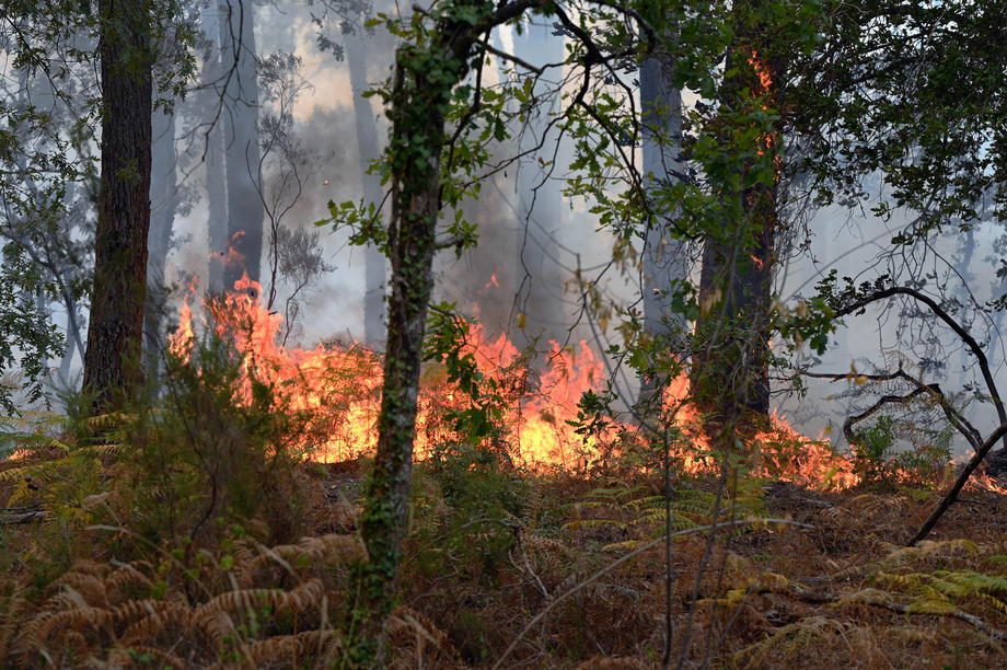 Wildfires in southwestern France