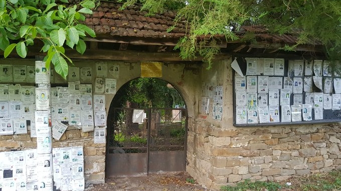 Die hohe Auswanderungsrate bereitet Bulgarien zusehends Probleme
