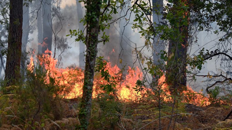 Europäische Waldbrandemissionen haben Höchststand erreicht
