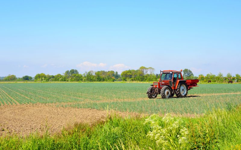 Niederländer wollen Stickstoffgrenzwerte trotz Widerstand der Landwirte halbieren