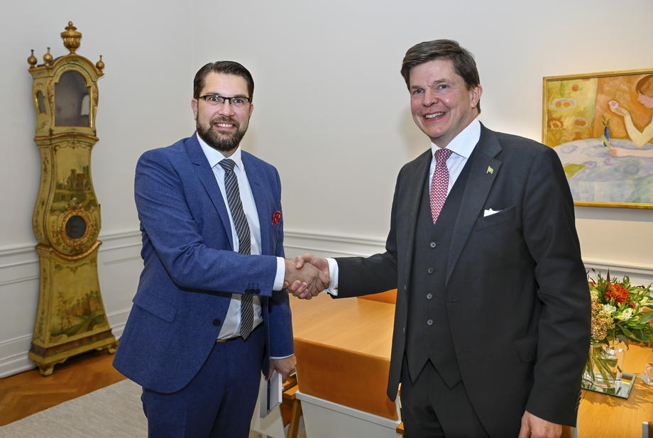 Government formation in Sweden