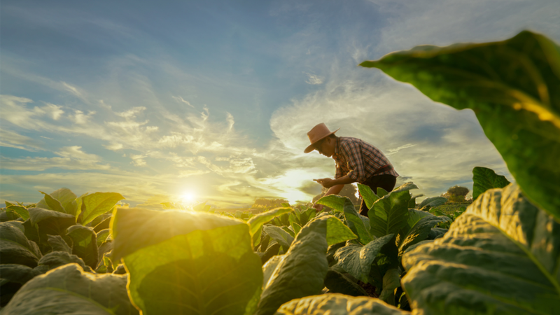 Integration von GAP und Green Deal - Die Zukunft nachhaltiger Landwirtschaft?