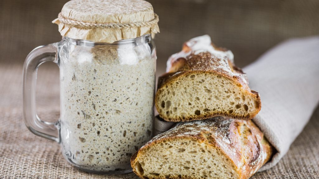Yeast_1