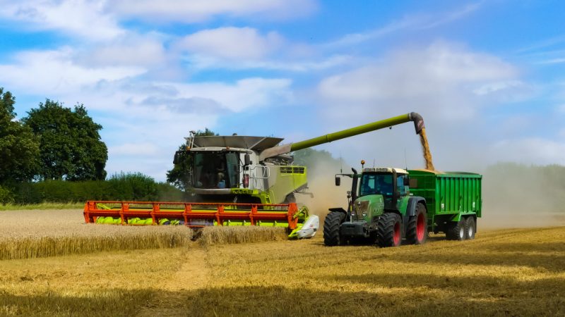 Lockerungen von Umweltregeln zeigen kaum Wirkung auf Getreideproduktion