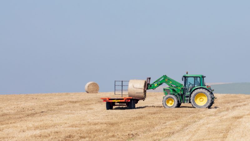 Inflation und Green Deal belasten EU-Agrarhaushalt