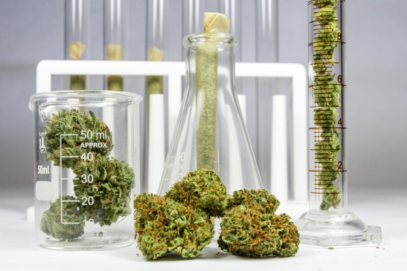 Cannabis-Legalisierung könnte an EU-Recht scheitern