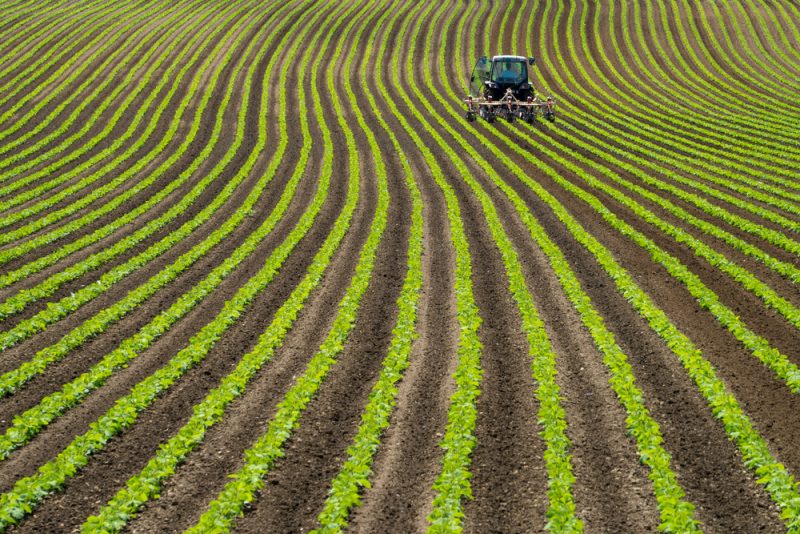 Neu eingereichter GAP-Plan überzeugt weder Landwirte noch Umweltschützer