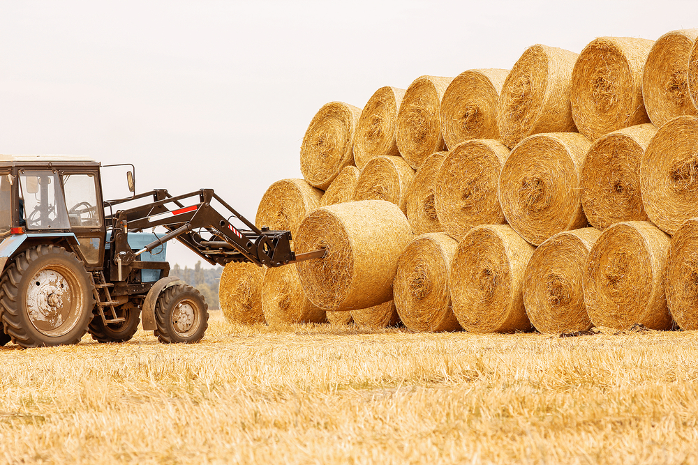 Bales,Of,Hay,In,A,Field,With,A,Tractor,In