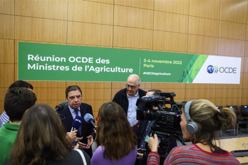 OECD-Chef fordert weltweite Abschaffung "wettbewerbsverzerrender" Agrarsubventionen