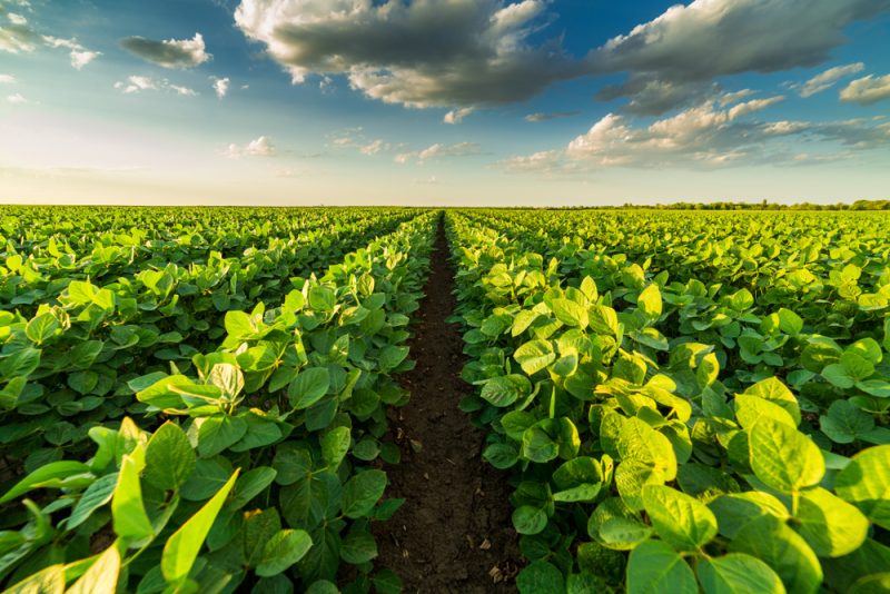 Carbon-Farming-Pläne der EU-Kommission lassen wichtige Fragen offen
