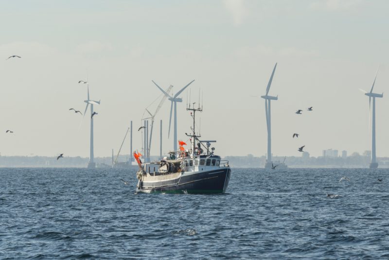 Brüssel will kränkelnde Fischerei klimafreundlicher machen