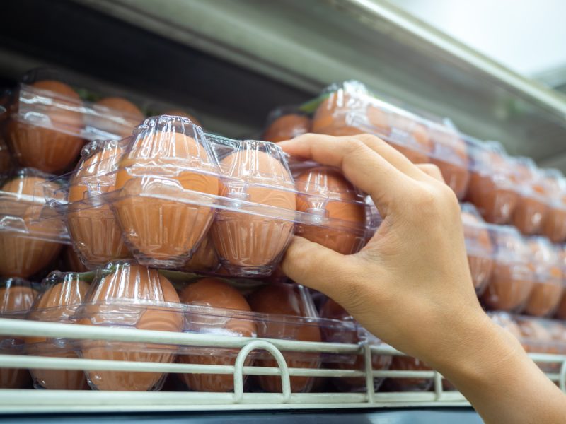Britische Eierproduktion bricht zusammen: Supermärkte ringen um EU-Lieferungen